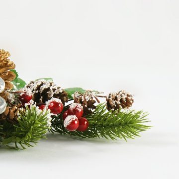 Jak wybrać idealne dekoracje i kompozycje florystyczne na Boże Narodzenie?