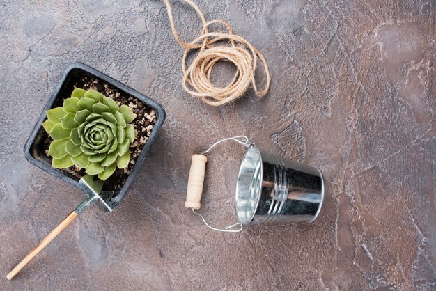 Tworzenie miniaturowych ogrodów w szklanych naczyniach: krok po kroku